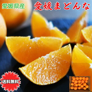 g܂ǂ g}hi Q}hi Q܂ǂ    Q Q܂ǂ LTCY 2.5kg  [̂悤ȃvvʓ Q̋Mwl ƒp ol  