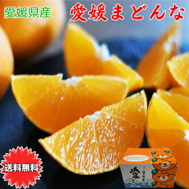 紅まどんな 紅マドンナ 愛媛マドンナ 愛媛まどんな あいか みきゃん箱 送料無料 愛媛県 愛媛まどんな みきゃん箱 3Lサイズ 2.5kg ぜりーのようなプルプル果肉 愛媛の貴婦人 ご家庭用 バラ詰め お試し お歳暮 ギフト JAの正規品 あいか 愛果28号