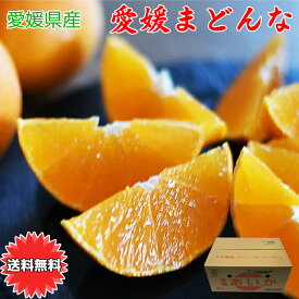 紅まどんな 紅マドンナ 愛媛マドンナ 愛媛まどんな あいか 送料無料 愛媛県 愛媛まどんな Lサイズ 5kg ぜりーのようなプルプル果肉 愛媛の貴婦人 ご家庭用 バラ詰め お試し お歳暮 ギフト JAの正規品 あいか 愛果28号