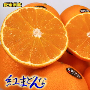 紅まどんなの通販 価格比較 価格 Com