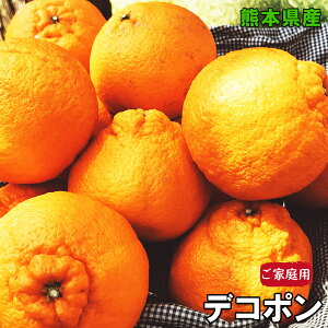 �f�R�|�� �݂��� 5kg ���ƒ�p �������� �{�� �F�{���Y �f�R�|�� 5kg 11�`24�� ���L�� ���ƒ�p