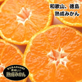 みかん 秀品 5kg箱 送料無料 和歌山県 または 徳島県産 熟成 みかん 秀品 5Kg箱 みかん gift 贈答用