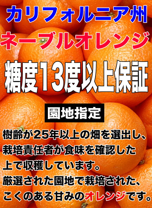 楽天市場 オレンジ ネーブル 送料無料 カリフォルニア産 ネーブルオレンジ 園地指定 糖度保証 10kg 44玉前後 大和屋 旬果庵