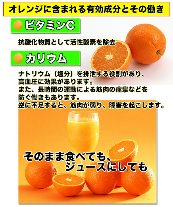 市場 オレンジ バレンシア カリフォルニア産 送料無料