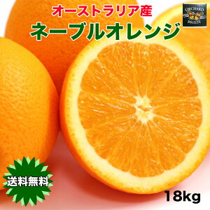 オレンジ ネーブル 送料無料 オーストラリア産 ネーブルオレンジ 18kg 糖度保証 88玉