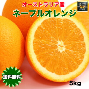 IW l[u  I[XgAY l[uIW 5kg xۏ 22ʑO