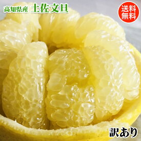 文旦 ぶんたん みかん 訳あり 3Lサイズ 5玉入 送料無料 高知県産 土佐文旦 3Lサイズ 5玉入 ご家庭用 お試し 送料無料