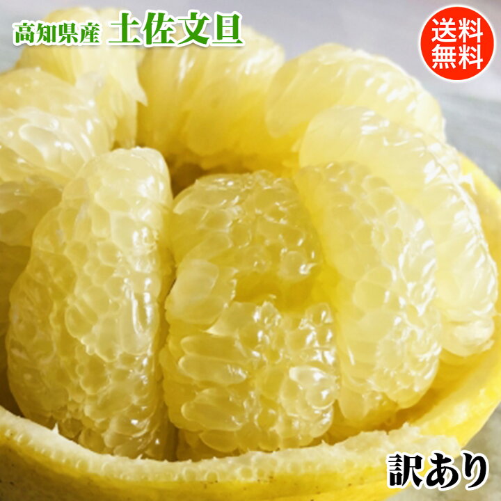 楽天市場】文旦 ぶんたん みかん 訳あり 3Lサイズ 5玉入 送料無料 高知 