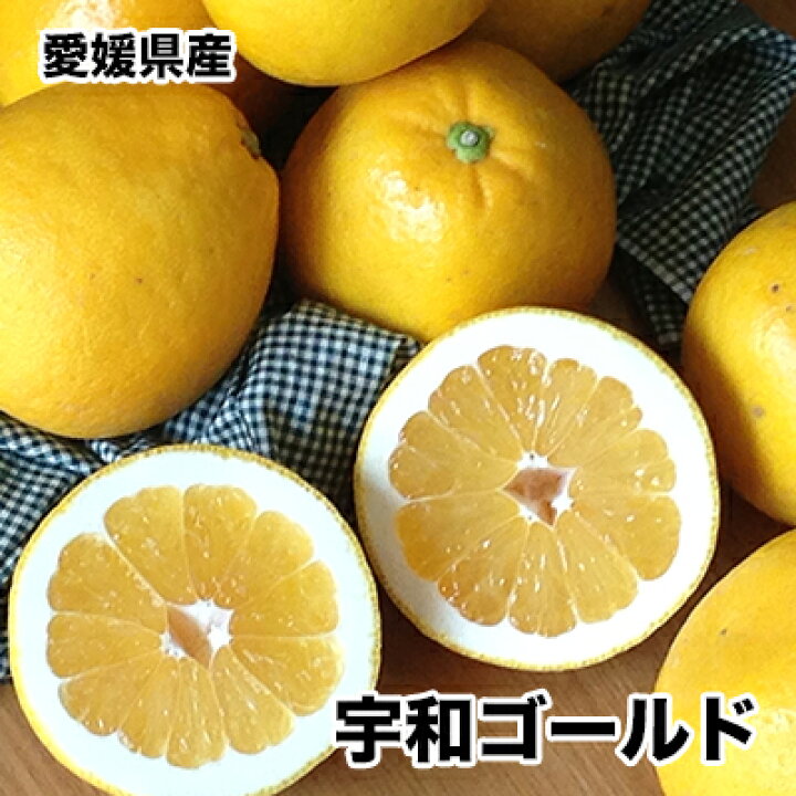 楽天市場】河内晩柑 宇和ゴールド 特選 L 夏文旦 みかん 10Kg 愛媛県産 