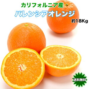 �I�����W �o�����V�A �������� �J���t�H���j�A�Y �o�����V�A �I�����W ���x�ۏ� 18kg 88��