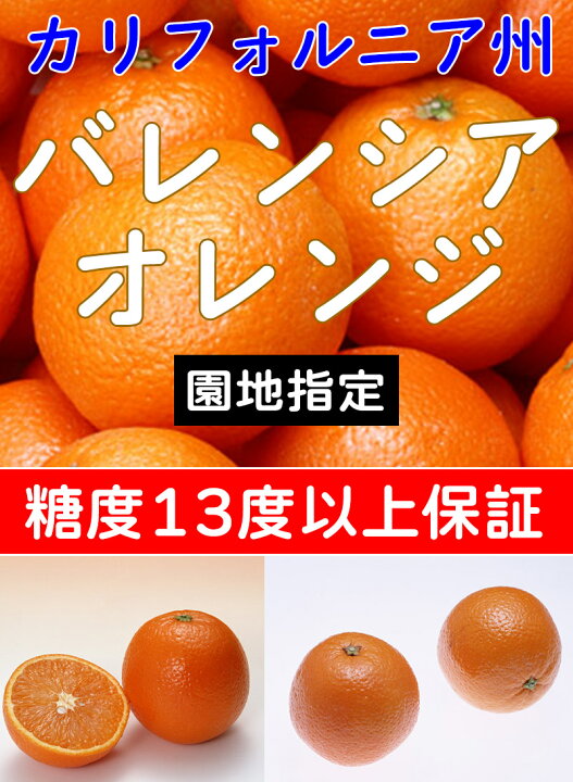 楽天市場 オレンジ 送料無料 カリフォルニア産 バレンシア オレンジ 園地指定 10kg 44玉前後 大和屋 旬果庵