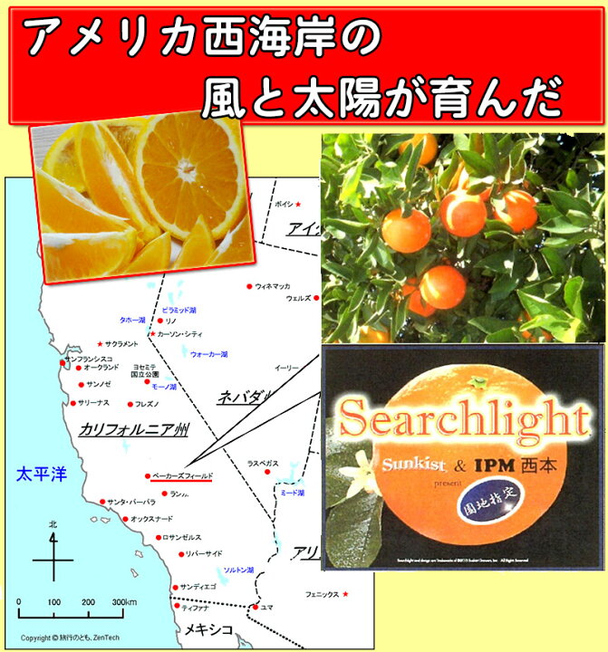 楽天市場 オレンジ 送料無料 カリフォルニア産 バレンシア オレンジ 園地指定 10kg 44玉前後 大和屋 旬果庵