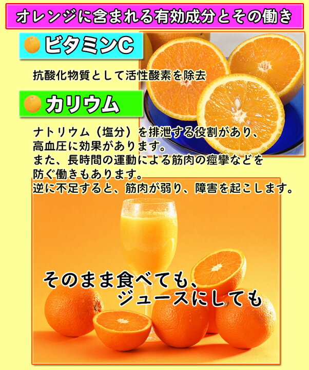 楽天市場 オレンジ 送料無料 カリフォルニア産 バレンシア オレンジ 園地指定 10kg 44玉前後 大和屋 旬果庵