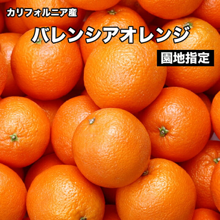 楽天市場 オレンジ 送料無料 カリフォルニア産 バレンシア オレンジ 園地指定 10kg 44玉前後 大和屋 旬果庵
