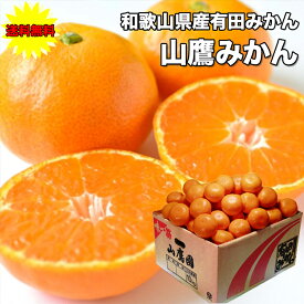 みかん 訳あり 10Kg 送料無料 ご家庭用 和歌山県 有田みかん 山鷹みかん Mサイズ 10Kg ギフト