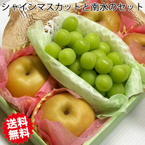 ԂƂ  Zbg VC}XJbg 쐅 H̖o R R 쌧Y VC}XJbg  쌧Y 쐅  Zbg ugE Ȃ l R  t[c 蕨 Mtg v[