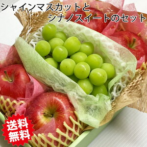 ԂƂ  Zbg VC}XJbg VimXC[g H̖o VC}XJbg  VimXC[g  Zbg ugE S l t[c 蕨 Mtg v[g