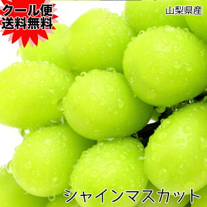 Ԃǂ VC}XJbg RY VC }XJbg 2[ 700g 󏭕i Mtg Ε Ԃǂ }XJbg N[ 