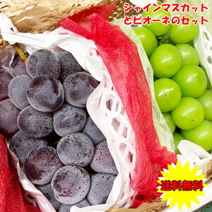 Ԃǂ l VC}XJbg sI[l̃Zbg 600g ܂͉R܂͎R VC }XJbg  R܂͉RY sI[l  Zbg 600g 󏭕i Mtg Ԃǂ }