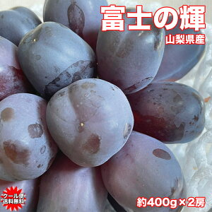 Ԃǂ VC}XJbg 1[ 400g × 2[ ubNVC}XJbg RY xm̋P 1[ 400g × 2[ Ղ̂Ԃǂ 󏭕i Mtg Ԃǂ }XJbg N[  ăMtg a