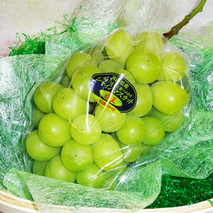 お中元 ぶどう シャインマスカット 晴王 送料無料 ぶどう 岡山県産 晴王 シャイン マスカット 希少品種 ギフト ぶどう マスカット