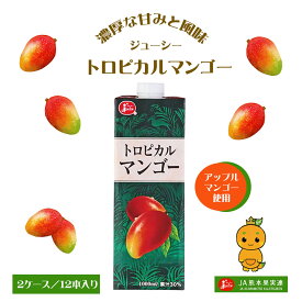 トロピカル マンゴー ジュース 2ケース セット 12本 送料無料