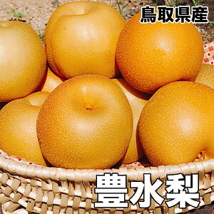 hV̓  Ȃ 5kg 挧Y L  5kg   L hV̓ Mtg