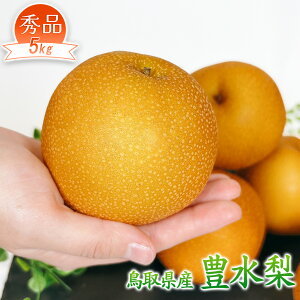 梨 なし 5kg 鳥取県産 豊水 梨 5kg 秀品 梨 豊水 御歳暮 敬老の日 ギフト