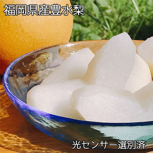  Ȃ 5kg Y L  5kg 10`20 ZT[I N[֑  󂠂 ƒp  L hV̓ Mtg Ȃ L