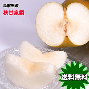 挧Y HÐ Gi 5kg 7`20ʓ p N[    Ȃ iV hV̓ Mtg