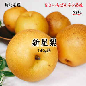  Ȃ 󂠂 5Kg  挧Y V 5Kg 6-22 󏭕i 񂲗 L