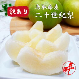 梨 なし 20世紀 東郷 訳あり 鳥取県産 20世紀 東郷 鳥取ブランド ご家庭用 二十世紀 20世紀梨 傷有