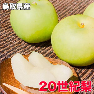 Ȃ \I  挧Y 20I  Gi p hV̓ Mtg