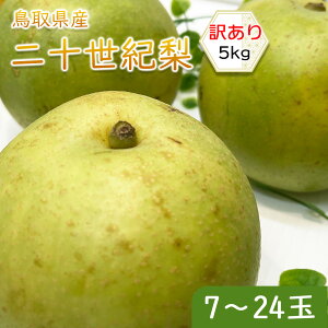  Ȃ \I 󂠂  挧Y 20I 5kg 7`24ʓ ƒp 󂠂 20I ڂ