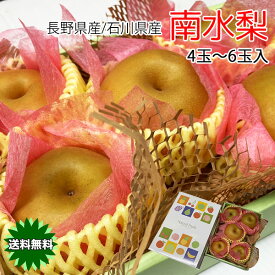 梨 南水梨 送料無料 4玉または6玉入 信州 長野県産または石川県産 南水梨 秀品 化粧箱入り 4玉または6玉入 JAみなみ信州 正規品 送料無料 梨 南水 なし ナシ ギフト 贈答用 お歳暮 9月中旬頃から