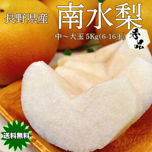  Ȃ  5kg MB 쌧Y 쐅  Gi  5kg 6`16  Mtg 9{