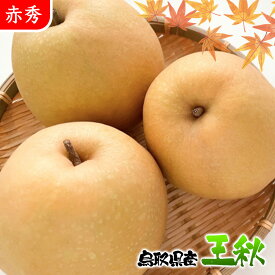 梨 なし ナシ 5kg 送料無料 鳥取県産 王秋 梨 5kg 赤秀クラス 梨 なし おうしゅう 5Kg お歳暮 ギフト