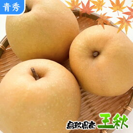 梨 なし ナシ 5kg 送料無料 鳥取県産 王秋 梨 5kg 青秀クラス 梨 なし おうしゅう 5Kg お歳暮 ギフト