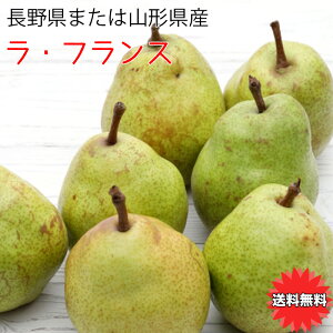 miV   5kg EtX R`܂͒쌧 EtX Gi 5kg 12`20 N[~[ȉʓ炠 ʎ̏  m   Mtg