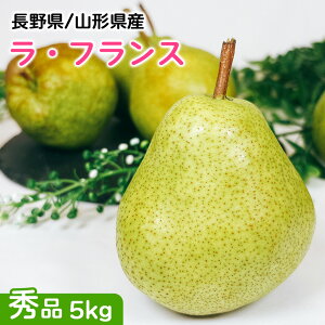 miV   5kg EtX R`܂͒쌧 EtX Gi 5kg 12`20 N[~[ȉʓ炠 ʎ̏  m   Mtg