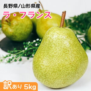 洋ナシ 梨 送料無料 5kg 訳あり ラ・フランス 山形県または長野県 ラ・フランス 5kg 12〜20個入 ご家庭用 クリーミーな果肉からあるれる美味しさ 果実の女王 梨 洋梨 送料無料 お試し