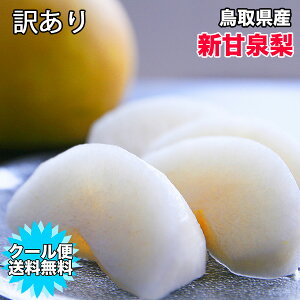  5kg N[֑ 󂠂 挧Y VÐ 5kg 6`20ʓ ƒp 󂠂  VÐ  Ȃ iV hV̓