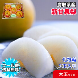 梨 送料無料 大玉 1玉約500g× 5玉入 新甘泉 クール便無料 鳥取県産 新甘泉梨 秀品 化粧箱入り 大玉 5玉入 梨 新甘泉 鳥取 なし ナシ ギフト 贈答用 敬老の日 ギフト