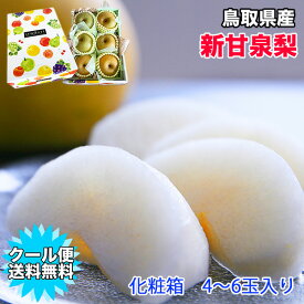 梨 クール便送料無料 中玉から小玉 新甘泉 4玉から6玉入 鳥取県産 新甘泉梨 秀品 化粧箱入り 中玉から小玉 4玉から6玉入 梨 新甘泉 鳥取 なし ナシ ギフト 贈答用 敬老の日 ギフト