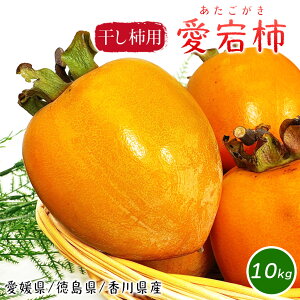 a` Ԋ` Q  쌧 ` S-2LTCY TCY