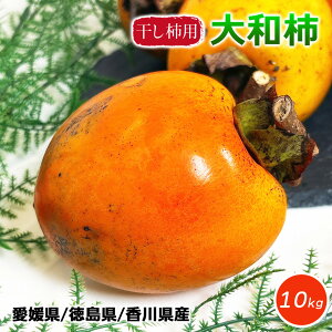 a` Ԋ` Q  쌧 a` S-2LTCY TCY