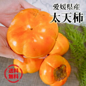 `  3kg  QY V` Gi 3kg 6`8 Ă񂪂 `ẼX[p[X^[  Mtg 10{