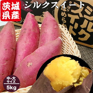 ܂ 5kg -TCY  VNXC[g 錧Y VNXC[g L-2LTCY 10-20{ Â  ܈ 