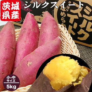 ܂ 5kg -TCY  VNXC[g 錧Y VNXC[g S-MTCY 25-47{ Â  ܈ 