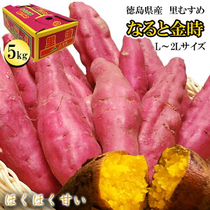 ܂ 5kg -TCY  ȂƋ Y  L-2LTCY 10-20{ Â  ܈ 